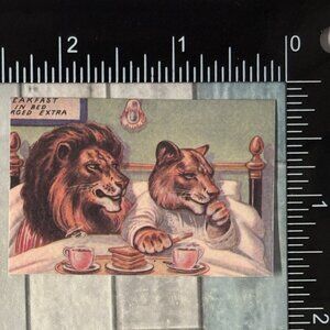 🌀10/$10🌀 Classic Vicious Cats Lion Tiger Cheetah Reusable Washi Sticker Decal